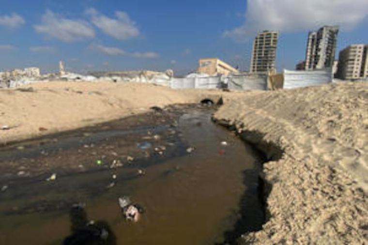 Una plaga de algas agravada por los residuos de Gaza deja a Israel sin desalinizadoras