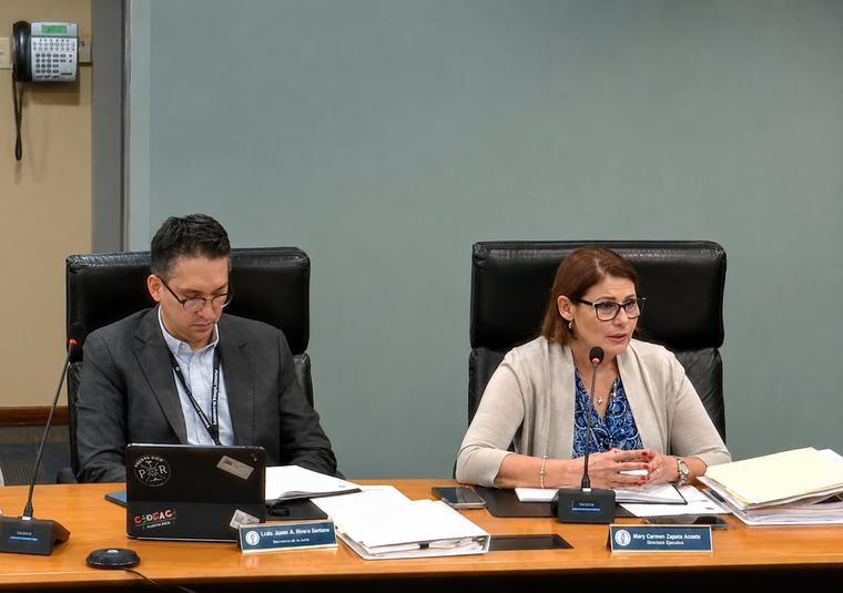 Renuncia la directora de la Autoridad de Energía Eléctrica, Mary Zapata