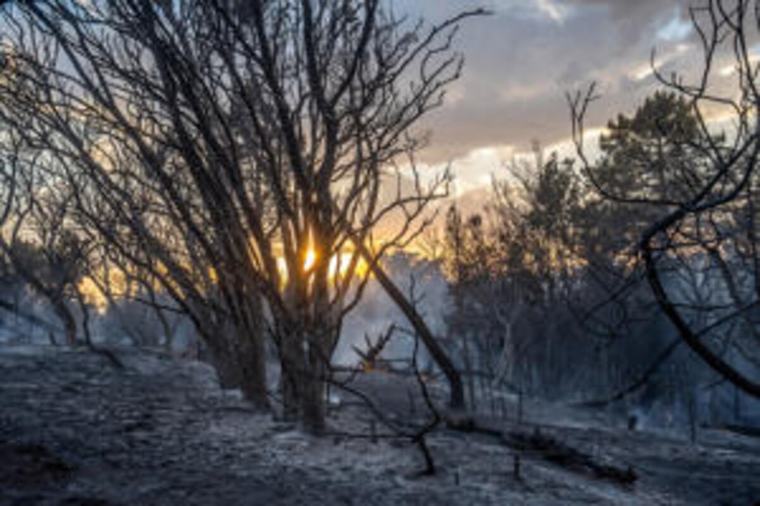 La ESA quiere utilizar IA y satélites para detectar incendios en tiempo casi real