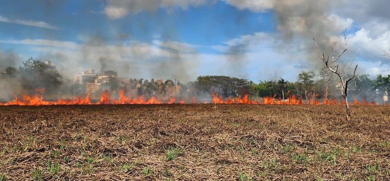 Reportan fuego forestal en el Jardín Botánico de la UPR