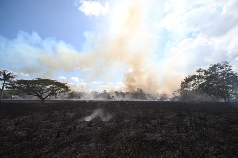 Otro fuego forestal en el área del Jardín Botánico de la UPR