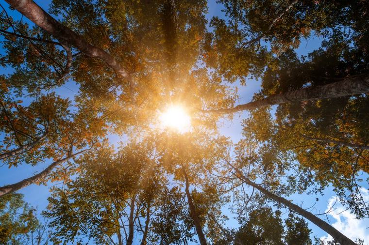 Otro día caluroso con índices de hasta 104 °F